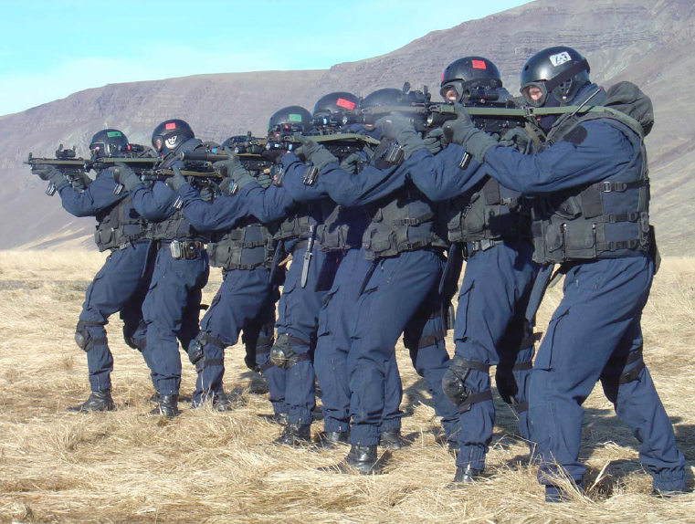 Iceland SWAT