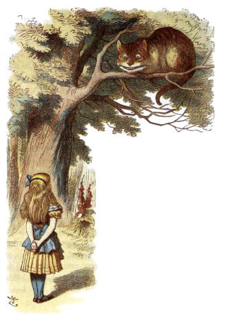 188.jpg