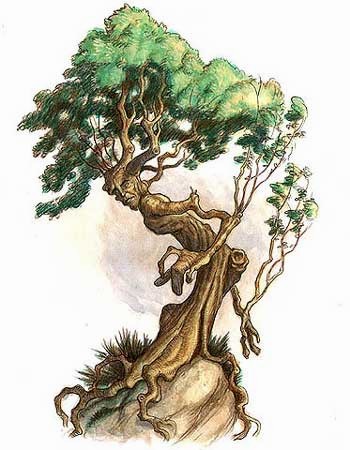 Treant.jpg