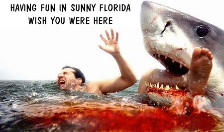 floridapostcard.jpg