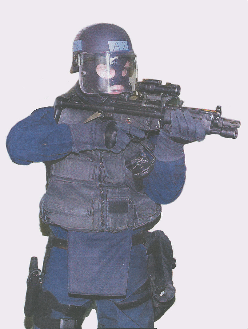 ice_swat20049gl.jpg